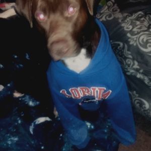 Meet your Posher, Jeffrey